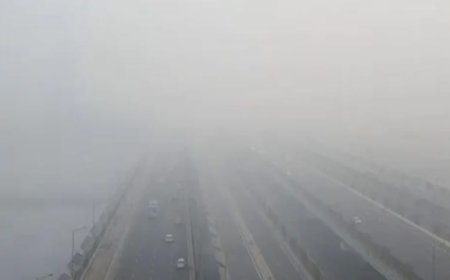 ఢిల్లీని కప్పేసిన పొగ మంచు రైళ్లు విమాన సర్వీసుల్లో అంతరాయం