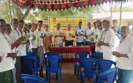 మొక్కజొన్న పంట యాజమాన్యంపై శిక్షణ