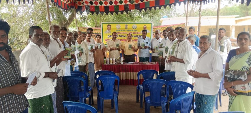 మొక్కజొన్న పంట యాజమాన్యంపై శిక్షణ