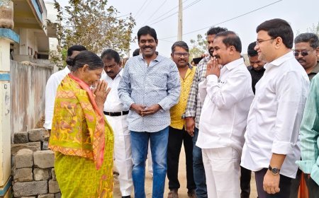 వార్డుల పర్యటనలో ఎమ్మెల్యే తాతయ్య