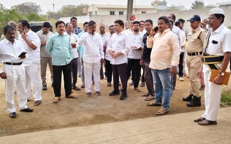 పట్టణంలో వార్డులను పరిశీలించిన ఎమ్మెల్యే తాతయ్య