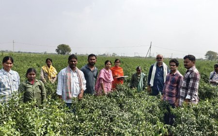 ఉద్యానపంటల్లో సస్యరక్షణపై శిక్షణ