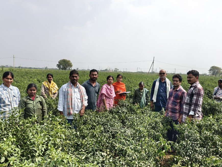 ఉద్యానపంటల్లో సస్యరక్షణపై శిక్షణ