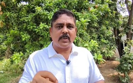 చికెన్ సిండికేట్ దోపిడీ అరికట్టండి