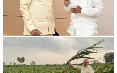అకాల వర్షాలకు పంటలు నష్టపోయిన రైతులను ఆదుకోవాలి ముఖ్యమంత్రి చంద్రబాబు కి వినతి.టి.డి జనార్ధన్.