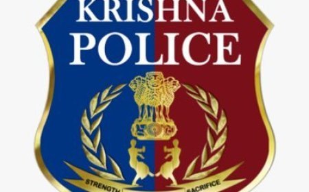 కృష్ణాజిల్లావ్యాప్తంగా పోలీసుల మెరుపు దాడులు