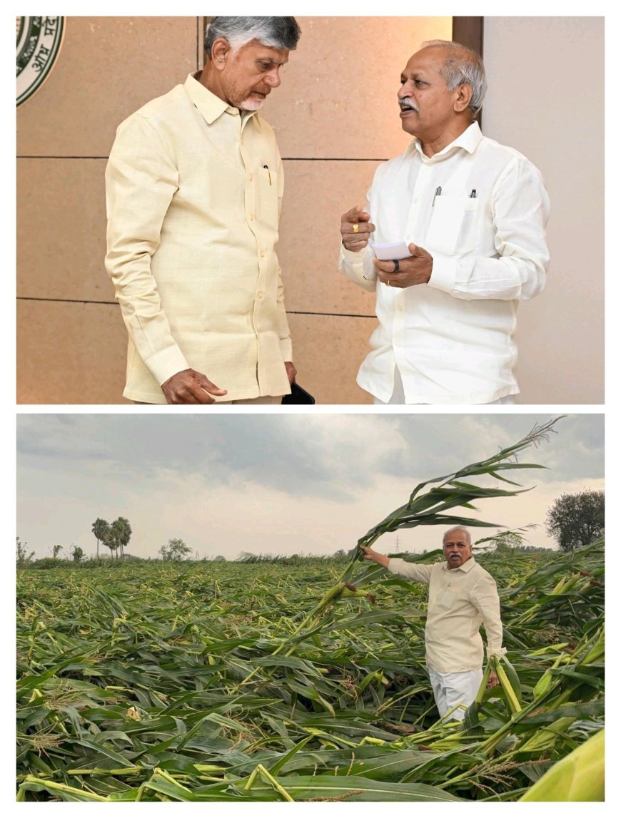 అకాల వర్షాలకు పంటలు నష్టపోయిన రైతులను ఆదుకోవాలి ముఖ్యమంత్రి చంద్రబాబు కి వినతి.టి.డి జనార్ధన్.