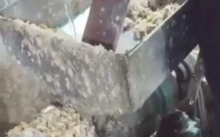 కాటేదాన్‌లో కల్తీ అల్లం-వెల్లుల్లి పేస్ట్ గుట్టు రట్టు టన్నుల కొద్దీ స్వాధీనం ఒకరు అదుపులో