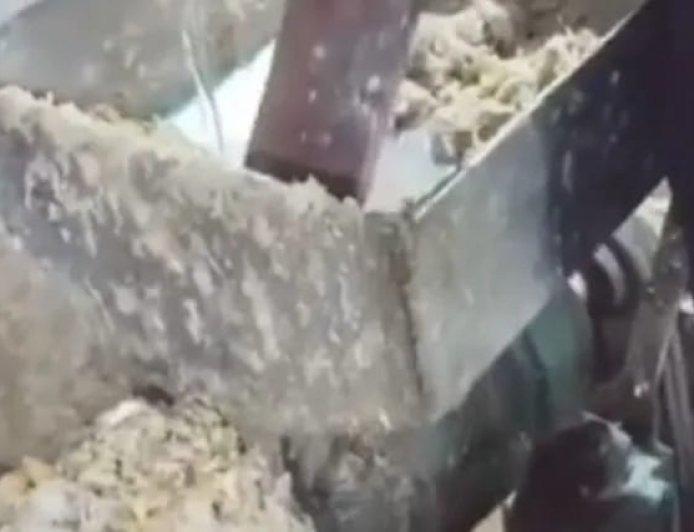 కాటేదాన్‌లో కల్తీ అల్లం-వెల్లుల్లి పేస్ట్ గుట్టు రట్టు టన్నుల కొద్దీ స్వాధీనం ఒకరు అదుపులో