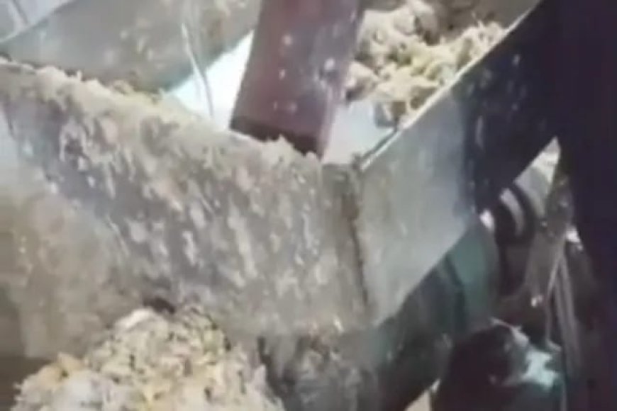 కాటేదాన్‌లో కల్తీ అల్లం-వెల్లుల్లి పేస్ట్ గుట్టు రట్టు టన్నుల కొద్దీ స్వాధీనం ఒకరు అదుపులో