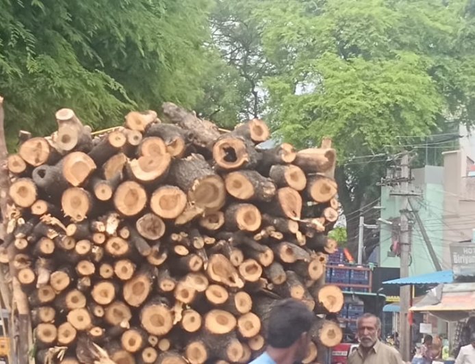 యతేచ్చగా కలప అక్రమ రవాణా