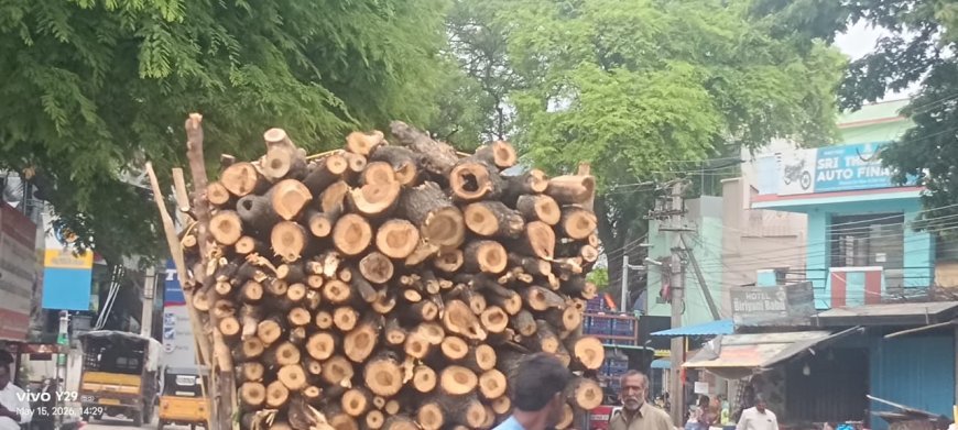 యతేచ్చగా కలప అక్రమ రవాణా