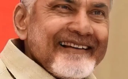 సింగపూర్ పర్యటనకు బయల్దేరిన ముఖ్యమంత్రి చంద్రబాబు నాయుడు